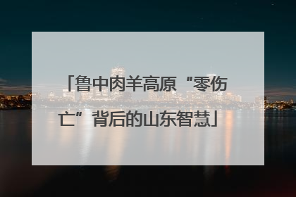 鲁中肉羊高原“零伤亡”背后的山东智慧