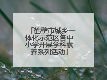 鹤壁市城乡一体化示范区各中小学开展学科素养系列活动