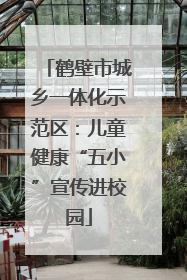 鹤壁市城乡一体化示范区：儿童健康“五小”宣传进校园