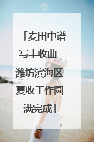 麦田中谱写丰收曲 潍坊滨海区夏收工作圆满完成