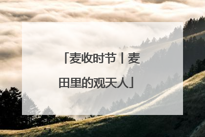 麦收时节丨麦田里的观天人