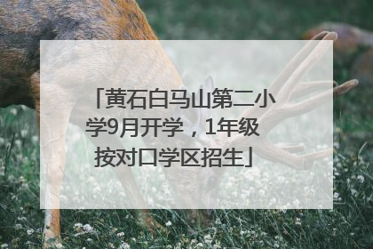 黄石白马山第二小学9月开学，1年级按对口学区招生