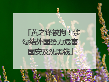 黄之锋被拘！涉勾结外国势力危害国安及洗黑钱