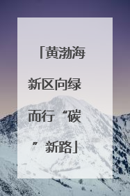 黄渤海新区向绿而行“碳”新路
