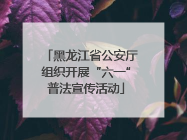黑龙江省公安厅组织开展“六一”普法宣传活动