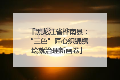 黑龙江省桦南县：“三色”匠心织锦绣 绘就治理新画卷