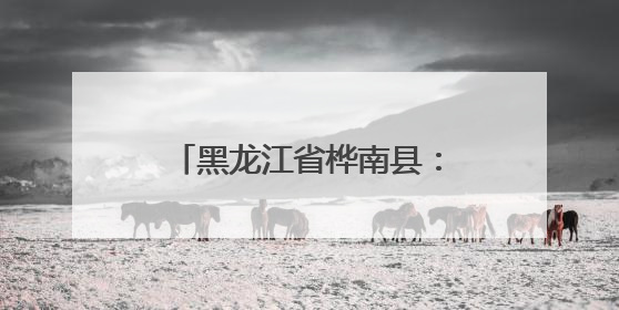 黑龙江省桦南县：“蒜”出振兴路 “园”梦新乡村