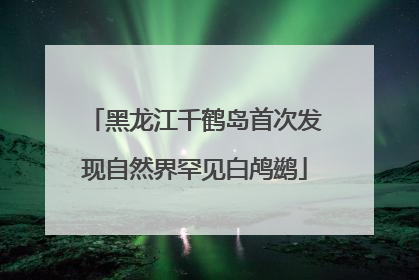 黑龙江千鹤岛首次发现自然界罕见白鸬鹚