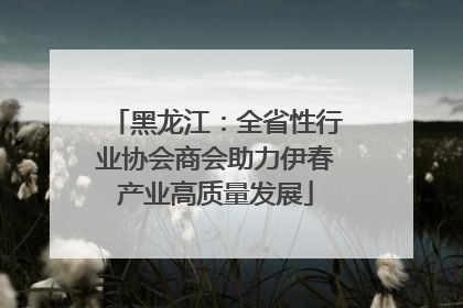 黑龙江：全省性行业协会商会助力伊春产业高质量发展