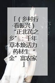 （乡村行·看振兴）“正北芪之乡”：千年草本焕活力 药材生“金”富农家