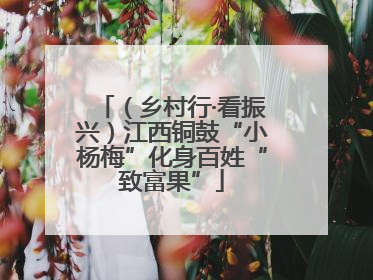 （乡村行·看振兴）江西铜鼓“小杨梅”化身百姓“致富果”