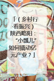 （乡村行·看振兴）陕西略阳：“小瓢儿”如何撬动亿元产业？