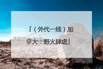 （外代一线）加拿大：野火肆虐