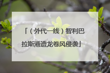 （外代一线）智利巴拉斯港遭龙卷风侵袭