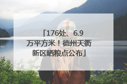 176处、6.9万平方米！德州天衢新区晒粮点公布