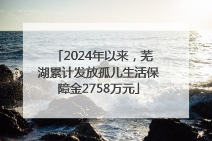 2024年以来，芜湖累计发放孤儿生活保障金2758万元