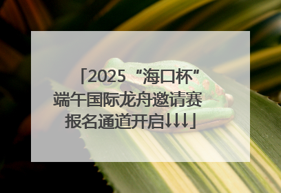 2025“海口杯”端午国际龙舟邀请赛 报名通道开启↓↓↓