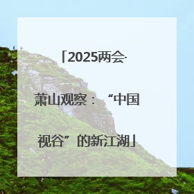 2025两会·萧山观察：“中国视谷”的新江湖