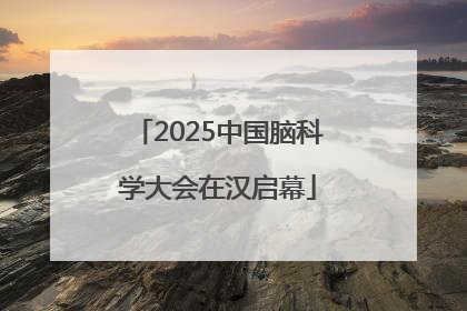 2025中国脑科学大会在汉启幕