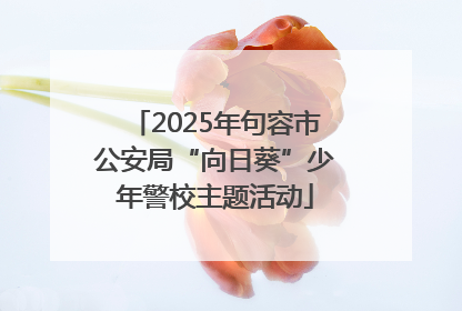 2025年句容市公安局“向日葵”少年警校主题活动
