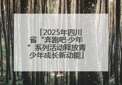 2025年四川省“奔跑吧·少年”系列活动释放青少年成长新动能