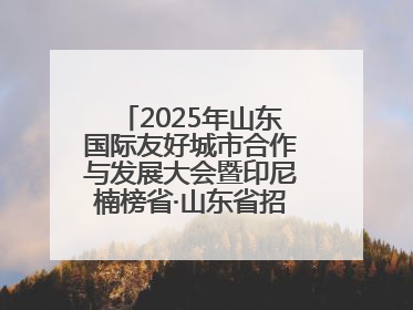 2025年山东国际友好城市合作与发展大会暨印尼楠榜省·山东省招商交流会在济南槐荫举行