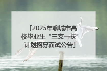 2025年聊城市高校毕业生“三支一扶”计划招募面试公告