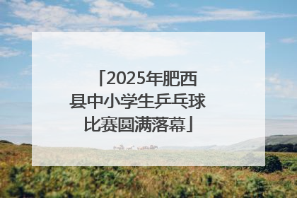 2025年肥西县中小学生乒乓球比赛圆满落幕