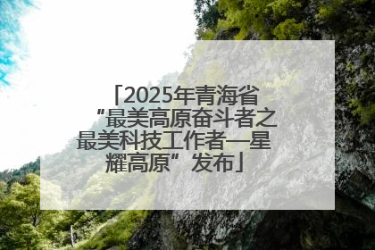 2025年青海省“最美高原奋斗者之最美科技工作者—星耀高原”发布