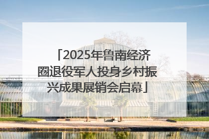 2025年鲁南经济圈退役军人投身乡村振兴成果展销会启幕