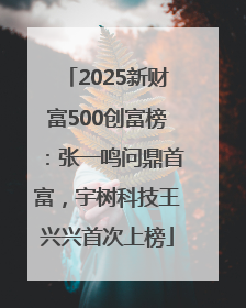 2025新财富500创富榜：张一鸣问鼎首富，宇树科技王兴兴首次上榜