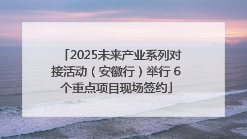 2025未来产业系列对接活动（安徽行）举行 6个重点项目现场签约