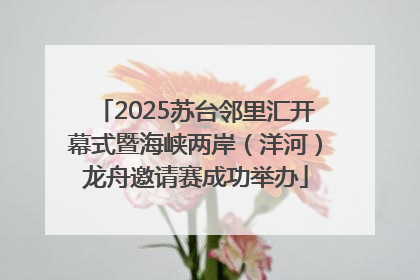 2025苏台邻里汇开幕式暨海峡两岸（洋河）龙舟邀请赛成功举办