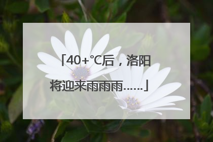 40+℃后，洛阳将迎来雨雨雨……
