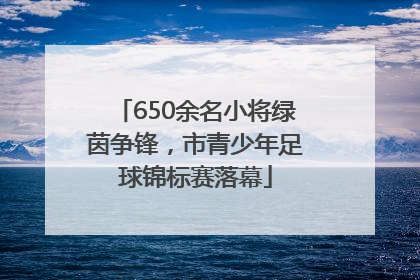 650余名小将绿茵争锋，市青少年足球锦标赛落幕