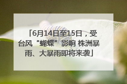 6月14日至15日，受台风“蝴蝶”影响 株洲暴雨、大暴雨即将来袭