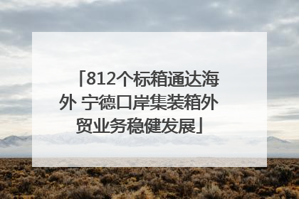812个标箱通达海外 宁德口岸集装箱外贸业务稳健发展