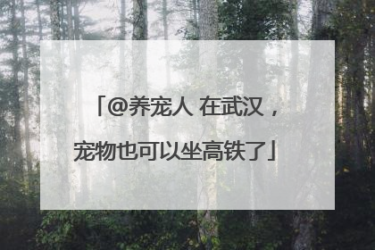 @养宠人 在武汉，宠物也可以坐高铁了