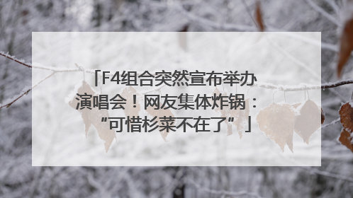 F4组合突然宣布举办演唱会！网友集体炸锅：“可惜杉菜不在了”