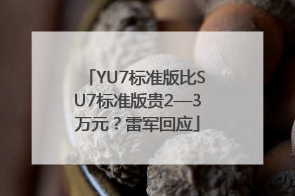YU7标准版比SU7标准版贵2—3万元？雷军回应