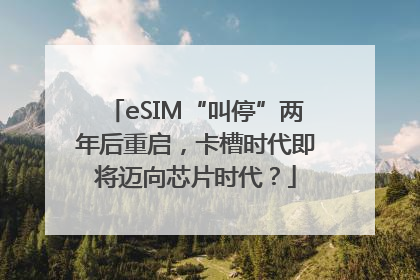 eSIM“叫停”两年后重启，卡槽时代即将迈向芯片时代？